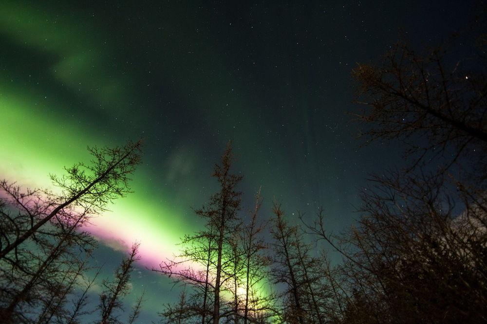 Sundog Retreat Hotel Whitehorse Kültér fotó