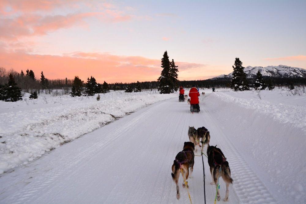 Sundog Retreat Hotel Whitehorse Kültér fotó