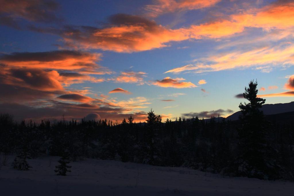 Sundog Retreat Hotel Whitehorse Kültér fotó